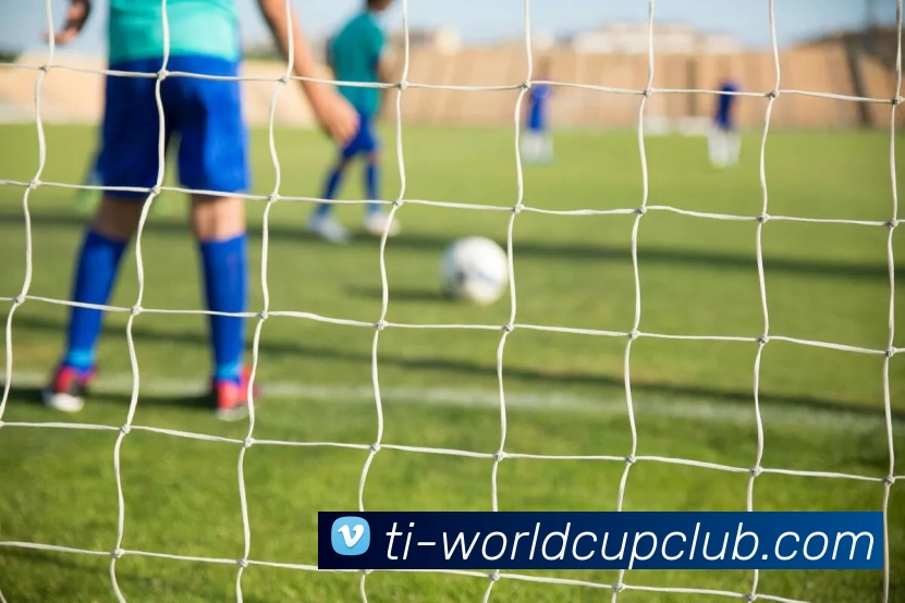 足球赛事投注平台生态图